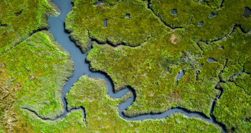 354 x188_AdobeStock_286324649