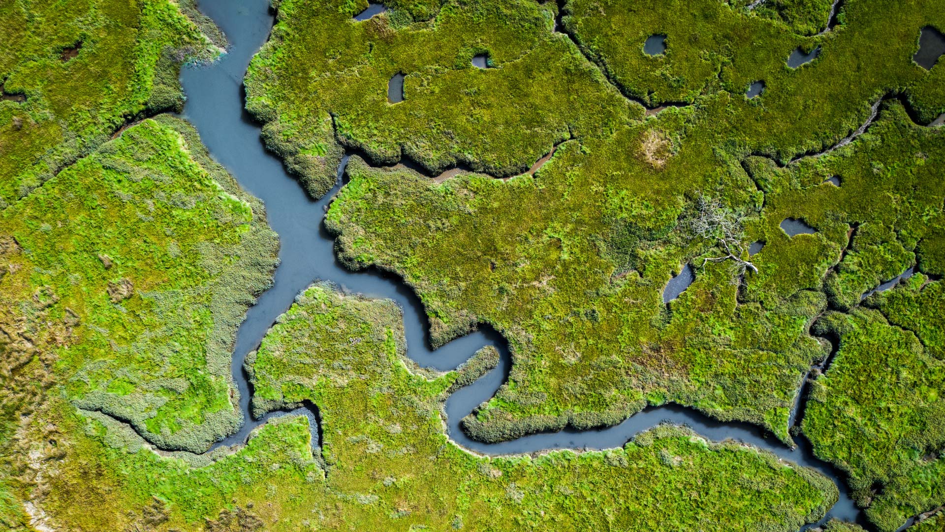 captiva-moore_website1920x800