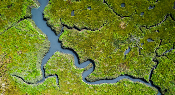 Moorlandschaft